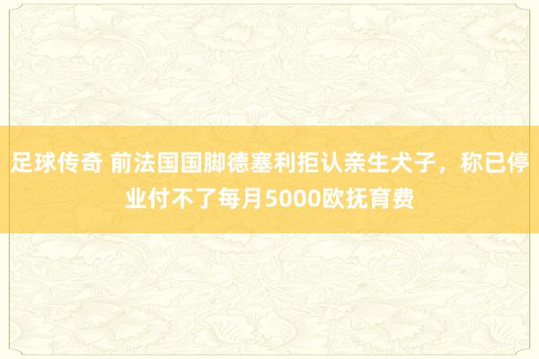 足球传奇 前法国国脚德塞利拒认亲生犬子，称已停业付不了每月5000欧抚育费