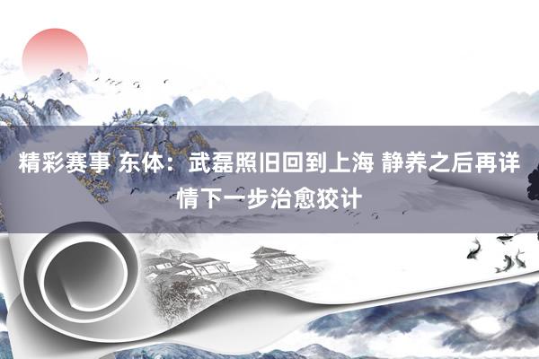 精彩赛事 东体：武磊照旧回到上海 静养之后再详情下一步治愈狡计