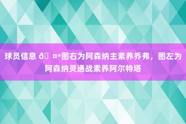 球员信息 🤪图右为阿森纳主素养乔弗，图左为阿森纳灵通战素养阿尔特塔