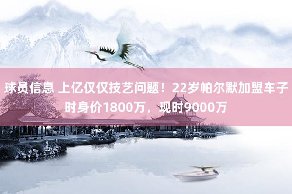 球员信息 上亿仅仅技艺问题！22岁帕尔默加盟车子时身价1800万，现时9000万