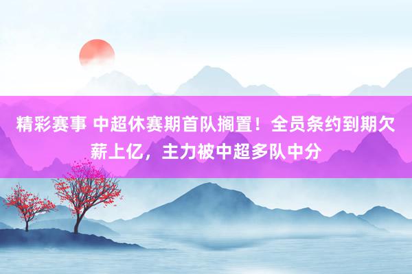 精彩赛事 中超休赛期首队搁置！全员条约到期欠薪上亿，主力被中超多队中分